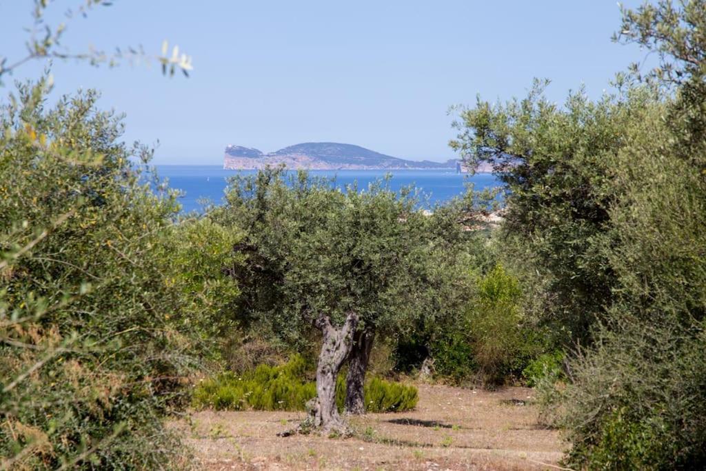 Villa Tramonto Альгеро Экстерьер фото