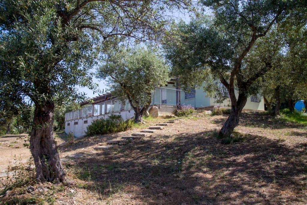 Villa Tramonto Альгеро Экстерьер фото